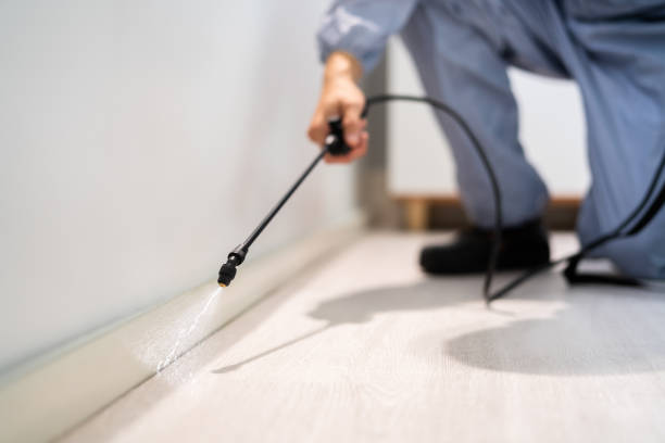 Licensed Bed Bug Control service in Jersey City, NJ - Nex Pest Control