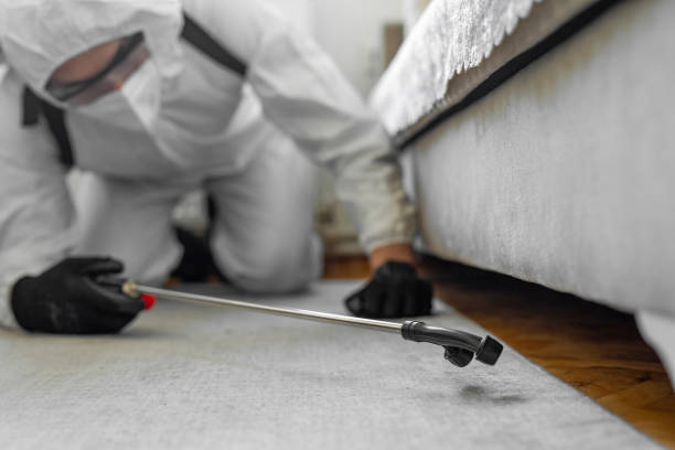 Professional Bed Bug Control technician working in Jersey City, NJ