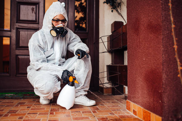 Reliable Bed Bug Control contractor in Jersey City, NJ by Nex Pest Control