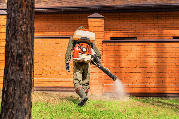 Trusted Mosquito Control service in Jersey City, NJ - Nex Pest Control